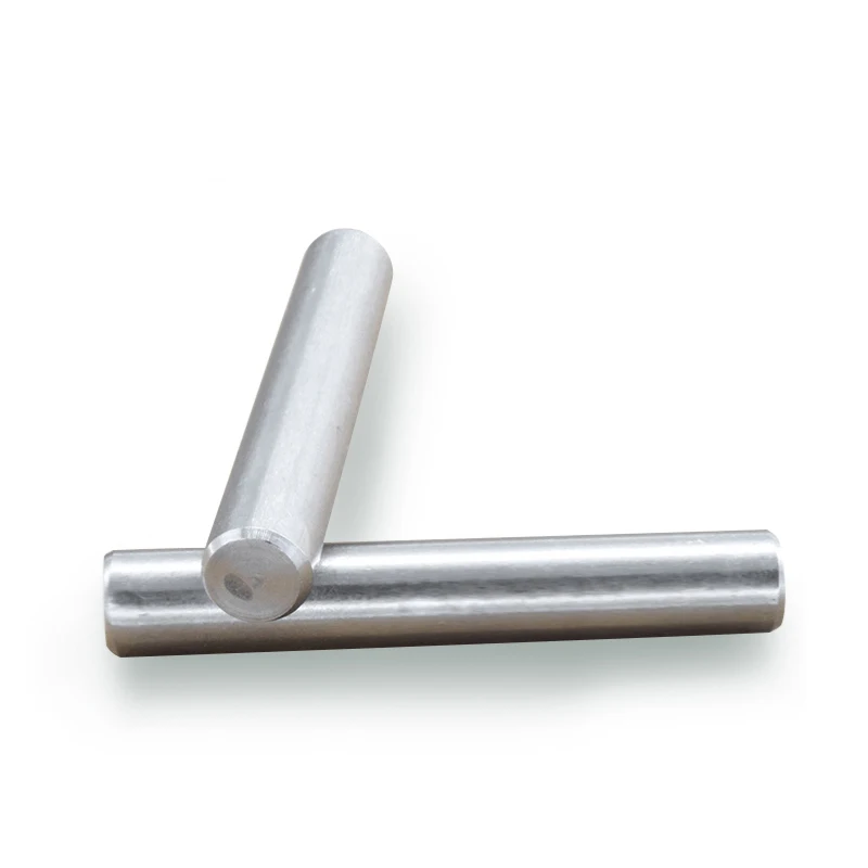 Effen Cilindrische Pin 304 Rvs 6mm Paspen 10 stks