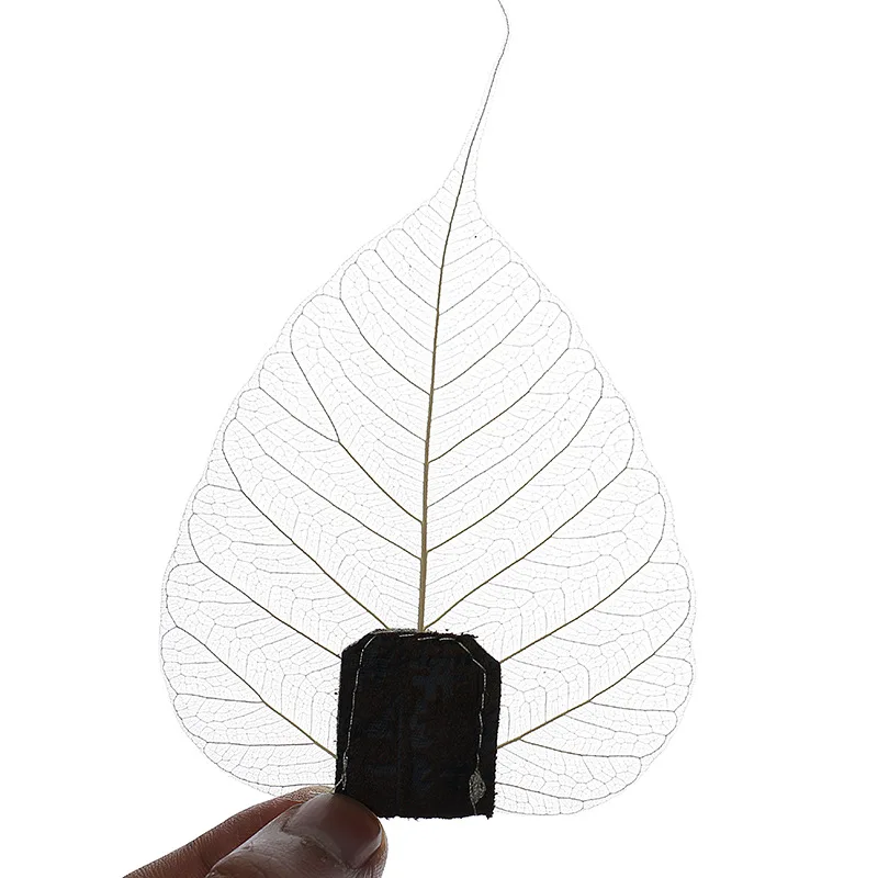 hot sell 100pcs/lot Tea Accessories Natural Leaves Tea Leakage Tea Filter Bodhi Leaves  Teapot Strainer Tea Ceremony