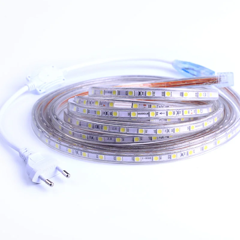 Bande lumineuse Flexible étanche SMD 5050 AC220V, 60 s/m, ruban RGB avec prise d'alimentation, 1M/2M/3M/5M/6M/10M/15M/25M