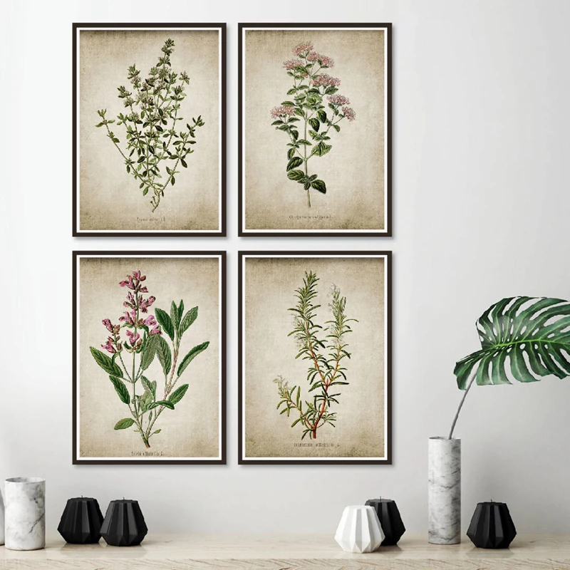 Vintage Poster Herb Art Prints , Oregano Rosemary Sage Thyme Canvas Painting Rustic Art Wall Picture Farmhouse Retro Wall Decor