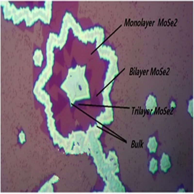 

Molybdenum diselenide 13: gold film substrate MoSe2