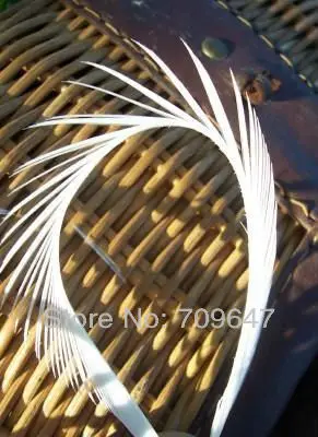 Feathers for crafts!50pcs/100pcs/Lot white feathers, LOOSE BRIGHT WHITE STRIPPED GOOSE BIOTS for Fly Tying 6-8