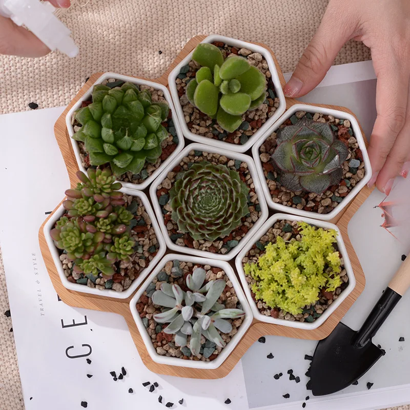 Planter Pots Indoor, 7 Pack Modern White Ceramic Small Hex Succulent Cactus Flower Plant Pot with Bamboo Tray Home Garden Decor