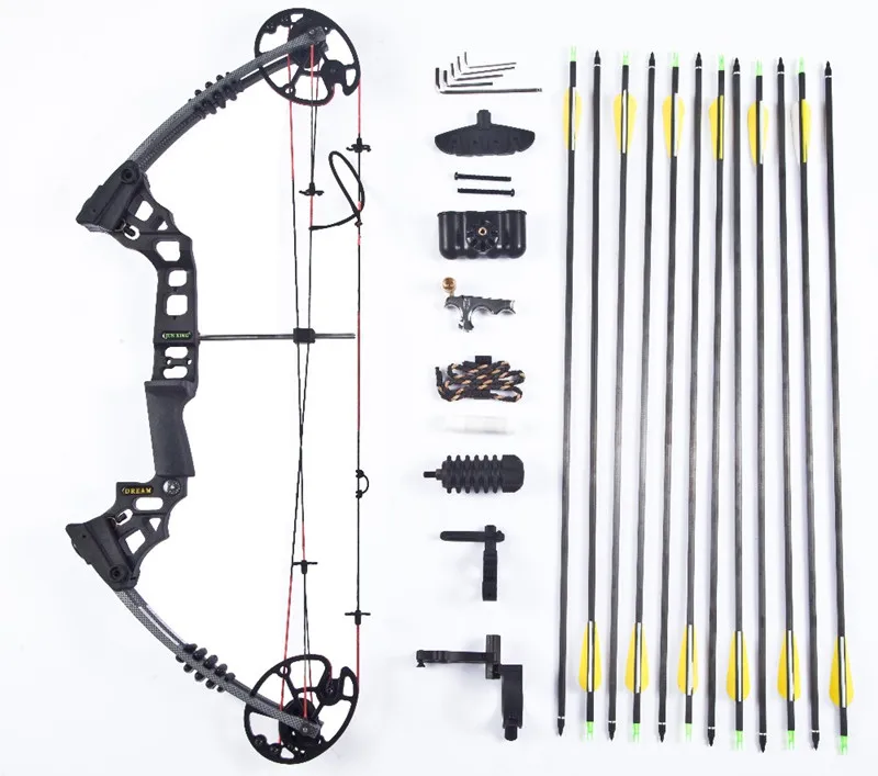 

M120 Archery Compound Bow For Hunting with Arrow and Accessory