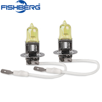 FISHBERG 2pcs H3 55w Halogen Auto Car Light Bulb 3000k Halogen Xenon Lamp 1600Lm Headlight Lamp Xenon Cars Fog Light Car Styling