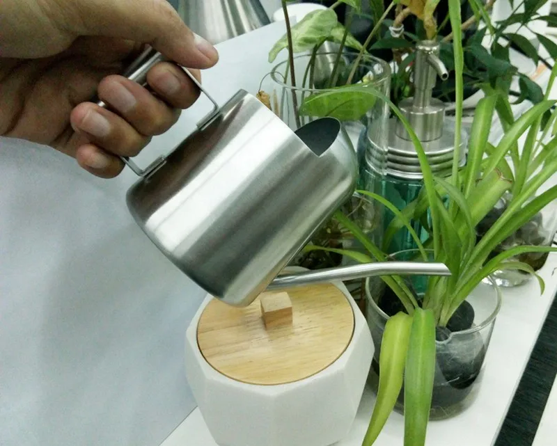 Thick stainless steel plant watering device flower pot gardena plant watering tools watering can