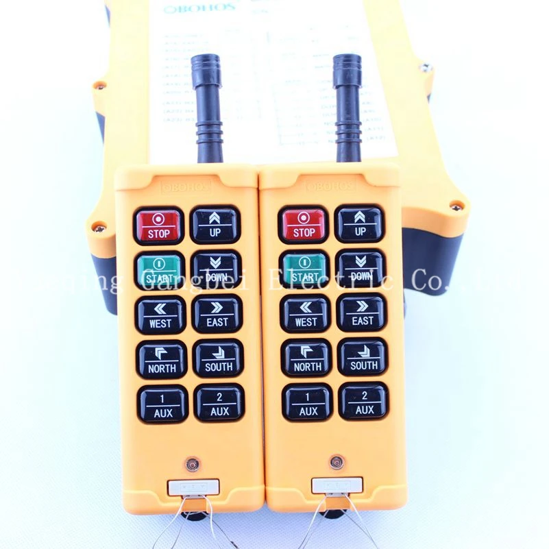 HS-10D8 Double speed (include 2 transmitter and 1 receiver)  crane remote control