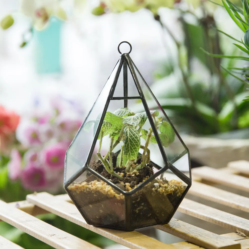 NCYP Modern Artistic Hanging Flowerpot Glass Terrarium Five-surfaces Diamond Succulent Fern Moss Planter Geometric Terrarium