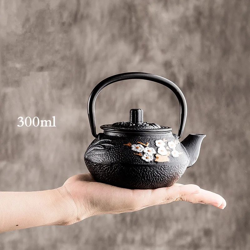 Cast Iron Tea Pot Set Japan Teapot Tetsubin Kettle Drinkware KungFu Tools Stainless Steel Strainer TeaKettle 300ml/600ml/800ml