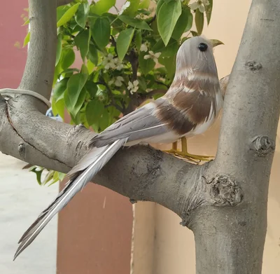 about 22cm gray feathers sparrow bird artificial bird handicraft,prop,home garden decoration gift p2763