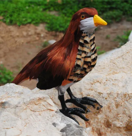 

21x10x18CM Cuckoo bird hard model,polyethylene&furs handicraft Figurines&Miniatures decoration toy gift a2852