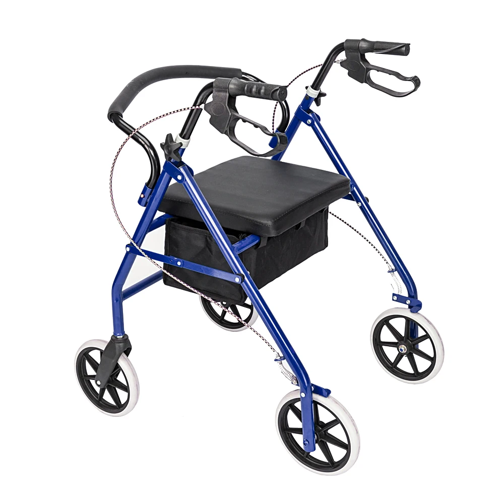 Steel & Nylon Walker with Wheels