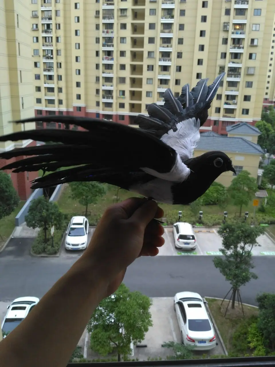 large 30x45cm spreading wings magpie model,foam&feathers bird handicraft,prop,home garden decoration,gift d1220