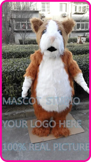 

mascot long plush Hamsters mascot costume custom cartoon character cosplay mascotte theme