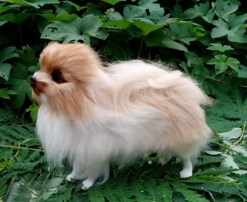 

about 23 x 20CM simulation Pomeranian dog toy lifelike fur dog model decoration gift t149