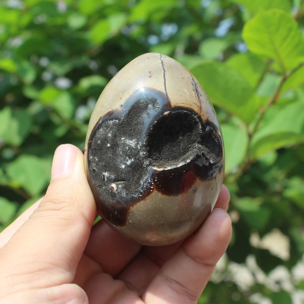 260g Natural curvature of the furnishing articles Turtle grain stone egg  Ball Septarian nodule  Crystal Healing quartz