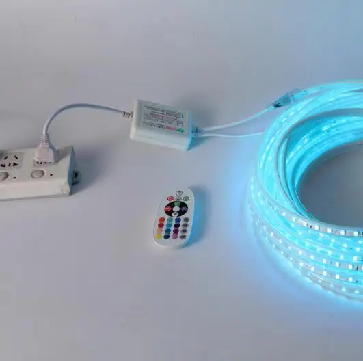 

Led Strip Waterproof 220V SMD 5050 Flexible Led Strip RGB Light 1M/2M/3M/4M/5M/6M/7M/8M 60leds/m IP65 Led Ribbon with controller