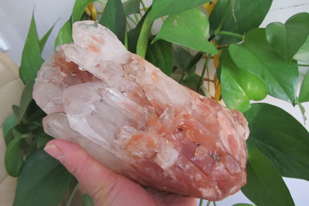 BEST!!!1935g NATURAL Pink Lemurian Seed Quartz Crystal Cluster Specimen