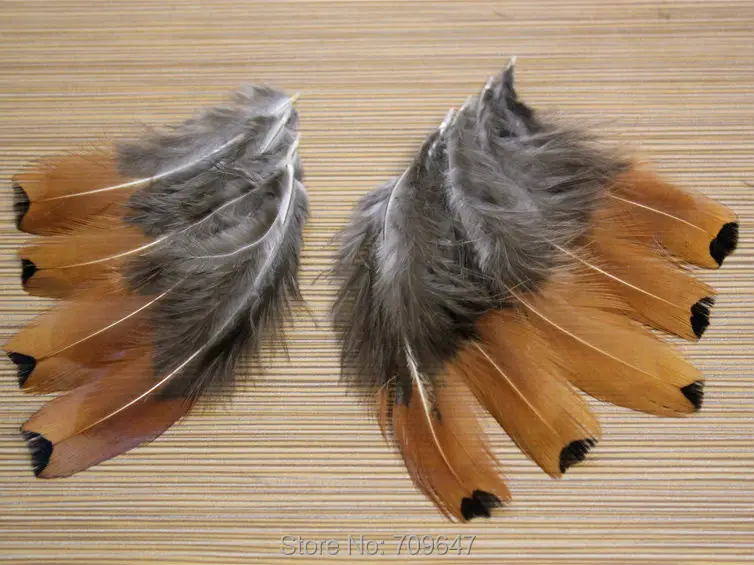 

200Pcs/Lot!5-9cm Beautiful Natural Gold Ringneck Pheasant Feathers,Small Pheasant Feathers,Plumas Para Manualidades