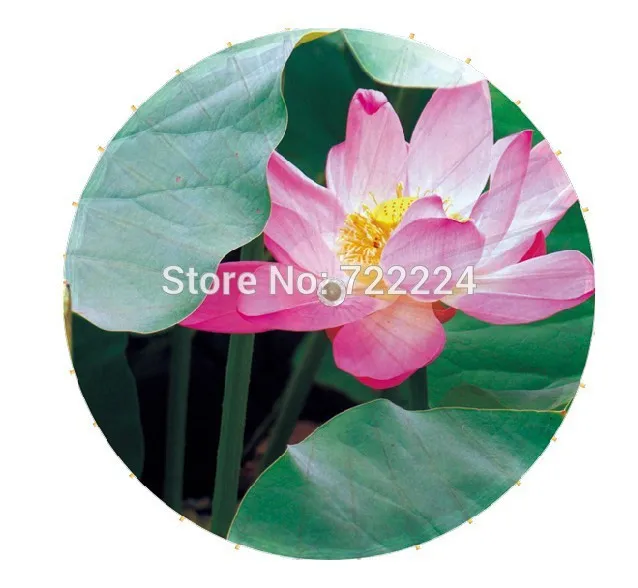 

Free shipping Dia 84cm long-handled real lotus picture traditional handmade waterproof dance decoration oiled paper umbrella