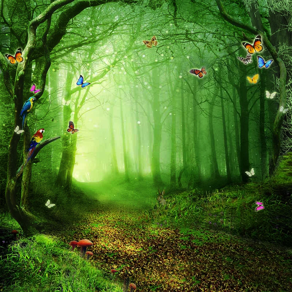 

Fairy Tale Forest Scenic Photography Backdrops Trees Colorful Butterflies Kids Children Photographer Photo Shoot Backgrounds