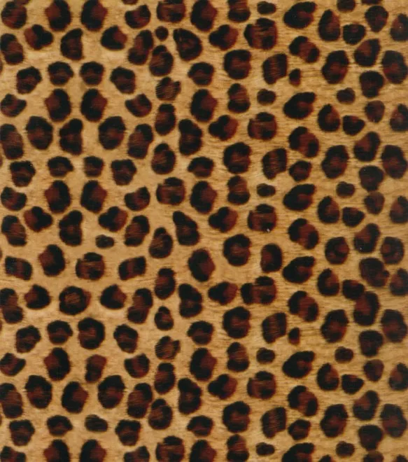 

CSGW12745 1M*10M Leopard Animal Pattern Hydrographic Film Width Water Transfer Printing Films