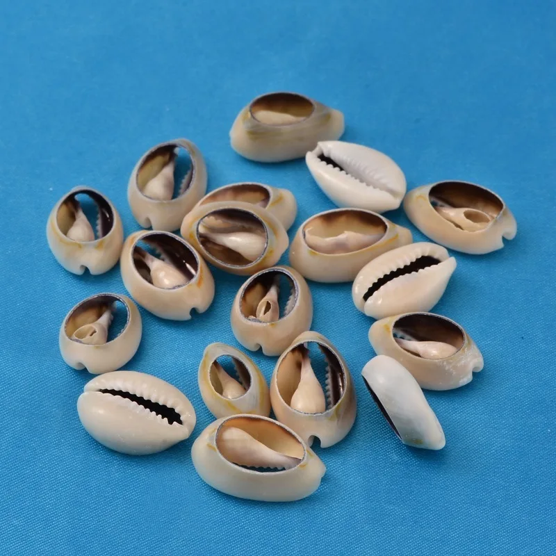 50pcs Natural Shell Beads 16-18mm Mixed Cowrie Shell Fit Diy Women Bracelet Necklace Jewelry Making Accessories