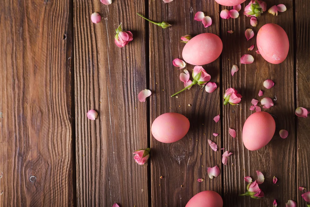 Petal, Eggs, Easter Photography Photographic Background Graduation Backdrops For Photography E190127A90