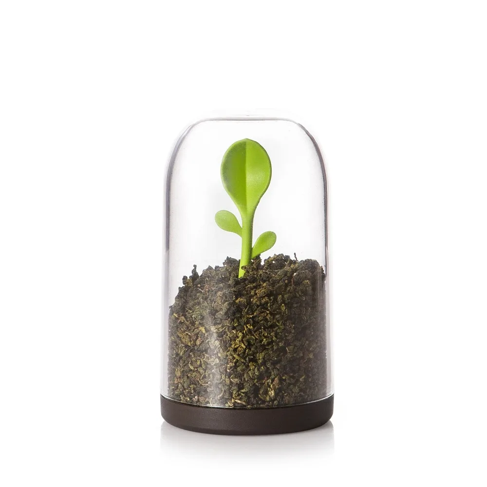 

Sprout Jar Coffee Tea Storage Container With Spoon Clear Dome Green Bud Tea Pot Sealed Pot Multifunctional Storage Box