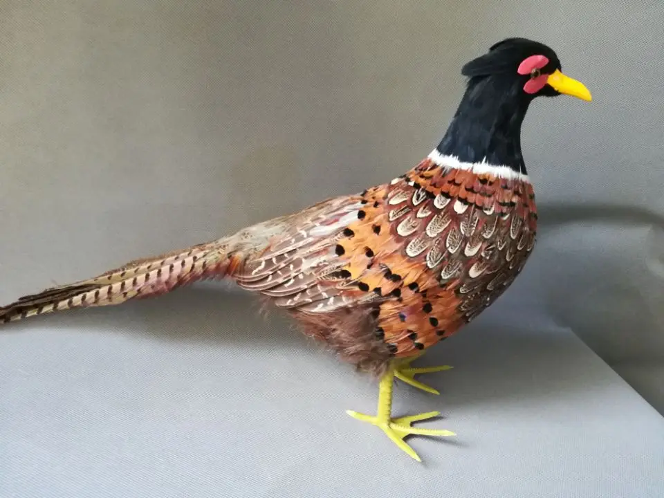 new simulation pheasant model polyethylene & furs life like pheasant  filming prop gift about 60x40cm