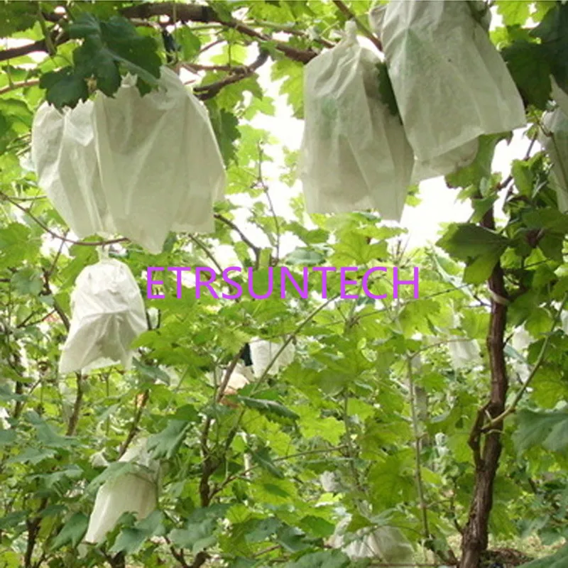 1000Pcs Grape Bag Anti-bird Moisture Pest Control Fruit Protection Bags Tela Mosquito Bag Of Grapes Nanch Porta Bustine LX0245