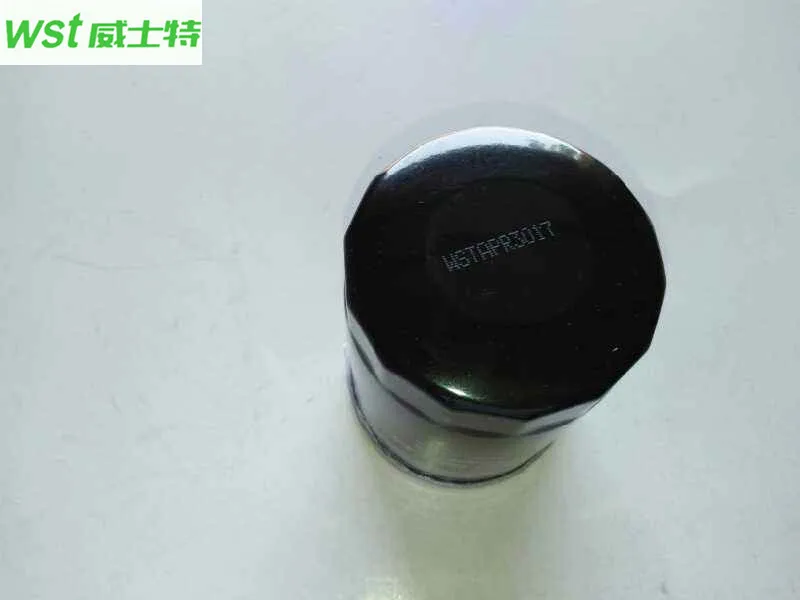 10170100-D01 Oil filter For 15 HYOSOW S6 1.5T