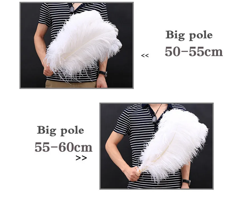 Großhandel 10 Teile/los Natürliche Weiß Straußen Federn Für Handwerk 15-75CM Karneval Kostüme Party Hause Hochzeit Dekorationen Plumes – Detail 5
