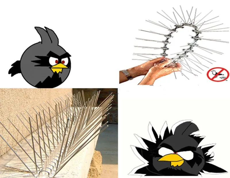 Hot selling 5M Plastic Bird and Pigeon Spikes Anti Bird Anti Pigeon Spike for Get Rid of Pigeons and Scare Birds Pest Control