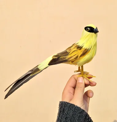 

about 22cm coloured feathers bird model toy,handicraft,garden decoration,home furnishings props,gift a2374