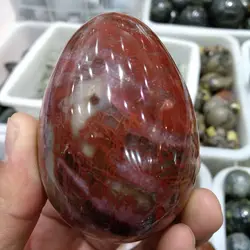 200-300g NATURAL PETRIFIED WOOD STONE HAND CARVED EGG
