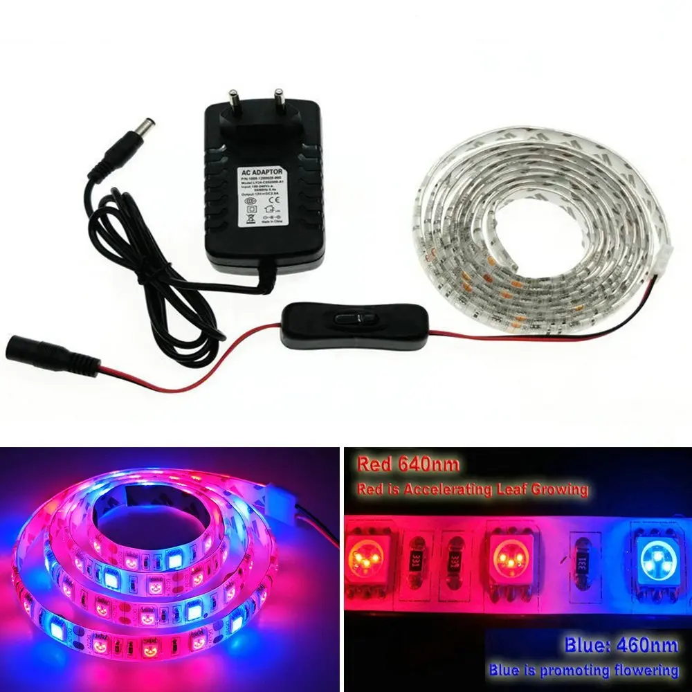 

LED Grow Lights DC12V Growing LED Strip Plant Growth Fita de Light Set with 2A EU Power Adapter and Switch