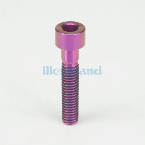 

2pcs M6 x 30mm Purple TC4 GR5 Titanium Alloy Allen Hex Screw Column Head Bolts For Bicycle