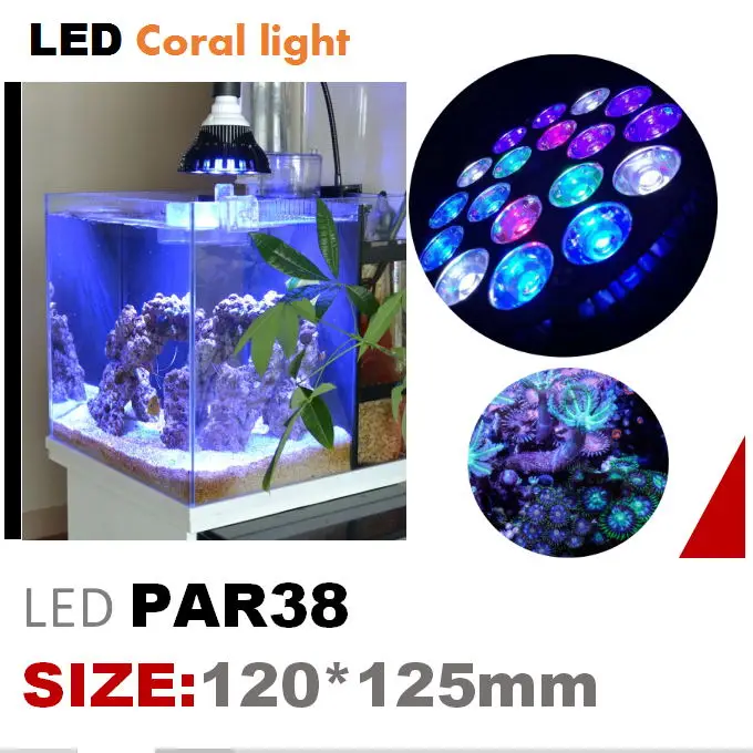 Imagem -06 - Led Coral Aquarium Light Iluminação Pet Fish Tank Lamp Plant Bulb Água Salgada para Coral Marine Reefgrow Light