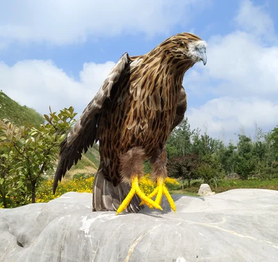 

simulation bird brown feathers eagle spreading wings bird 50x35cm foam&feathers handicraft garden decoration prop toy gift a2105