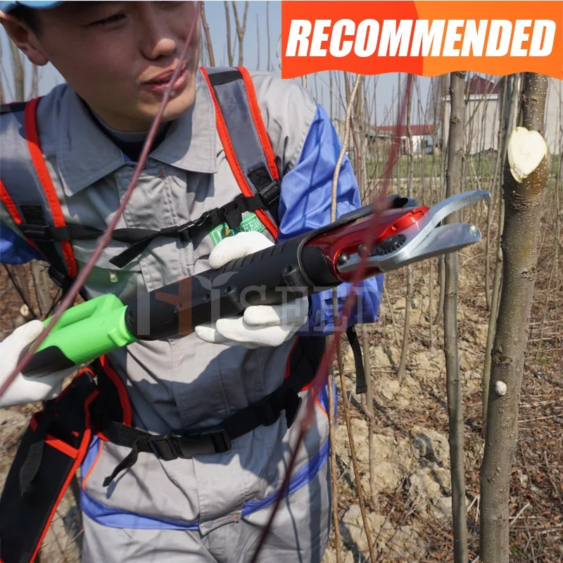 

Battery Power Pruner Fruit Tree And Garden Promotion Set Long Arm Secateurs Plus Electric Hand Pruning Scissors