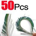 50Pcs