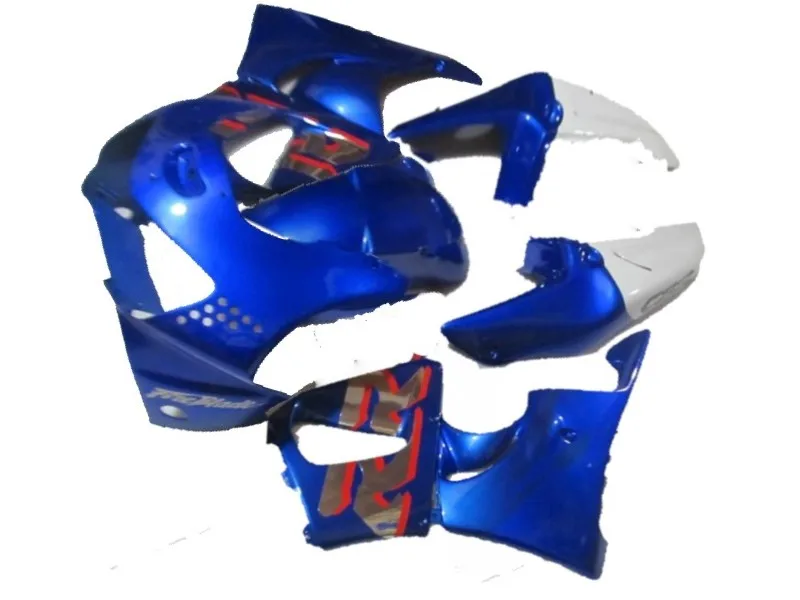 

white blue Full Fairing kit for pe CBR900RR 98 99 CBR-900RR CBR 900RR 919 1998 1999 CBR 900 ABS Fairings set ST66