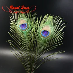 10pcs pack Natural Peacock Tails big Eye peacock Feathers fresh peacock herls quills Salmon Flies streamers fly tying materials