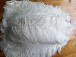 wholesale Quality 50pcs perfect Leniency Male white natural  ostrich feather 12-14inch/30-35cm decorative diy