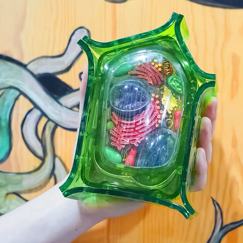 4D Plant cell Intelligence Assembling Toy Human Organ Anatomy Model Medical Teaching DIY Popular Science Appliances