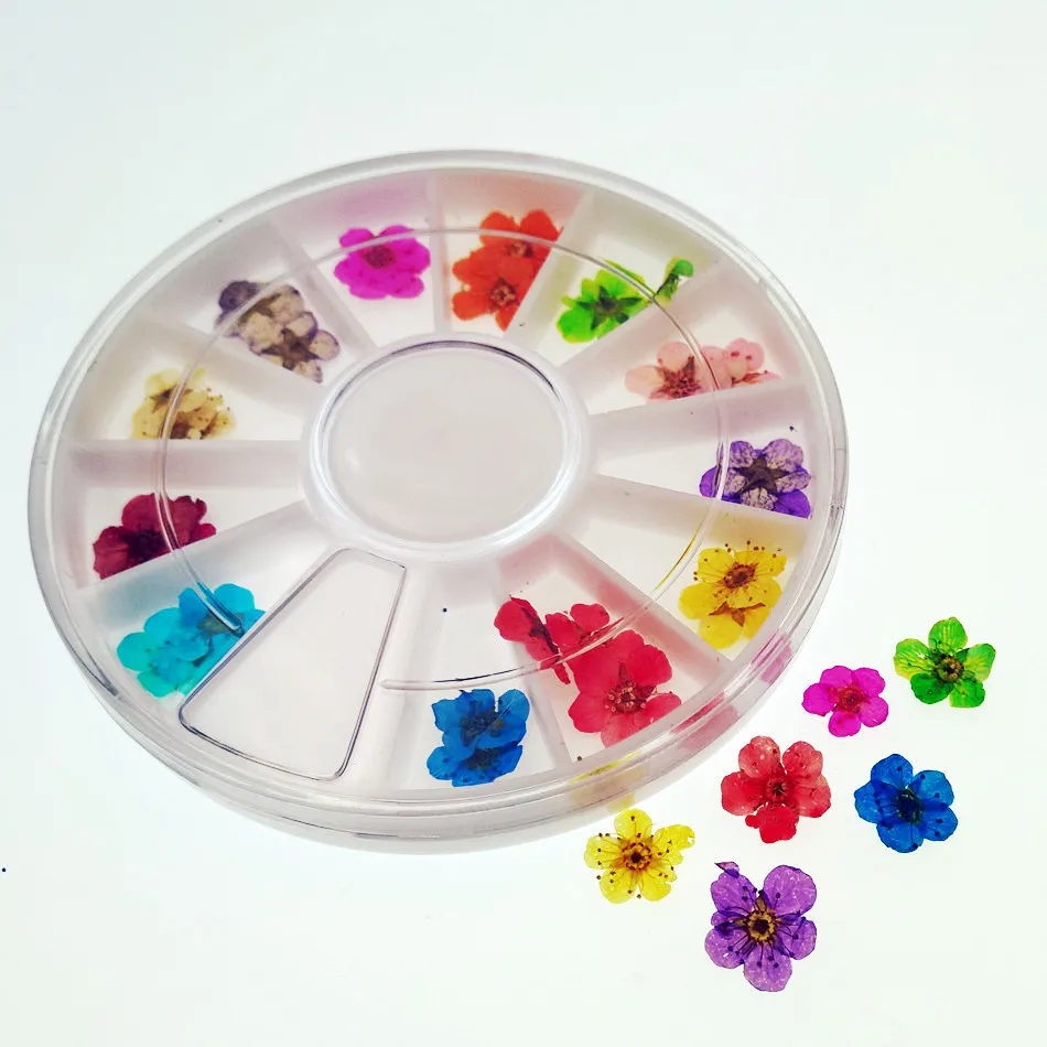 

30pieces with one plastic box mini Pressed flowers natural Dried flowers with plastic box glass globe filler charms