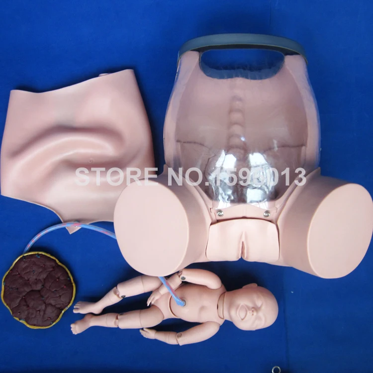 Comprehensive Childbirth Training Simulator Midwifery Nursing Pregnant Woman and Baby Delivery Model