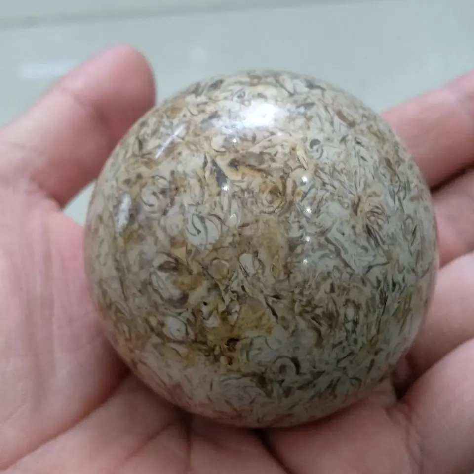 5-6cm Awesome! Dinosaur Bone Fossil Crystal Ball Sphere Madagascar
