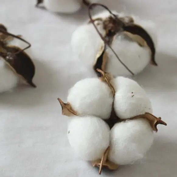6PCS/Pack Natural Dried Cotton Flower Heads simulation flower DIY wedding decoration for home party office